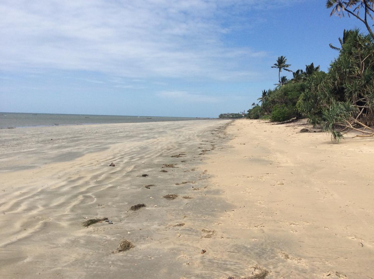 Peponi Beach Resort Pangani Buitenkant foto