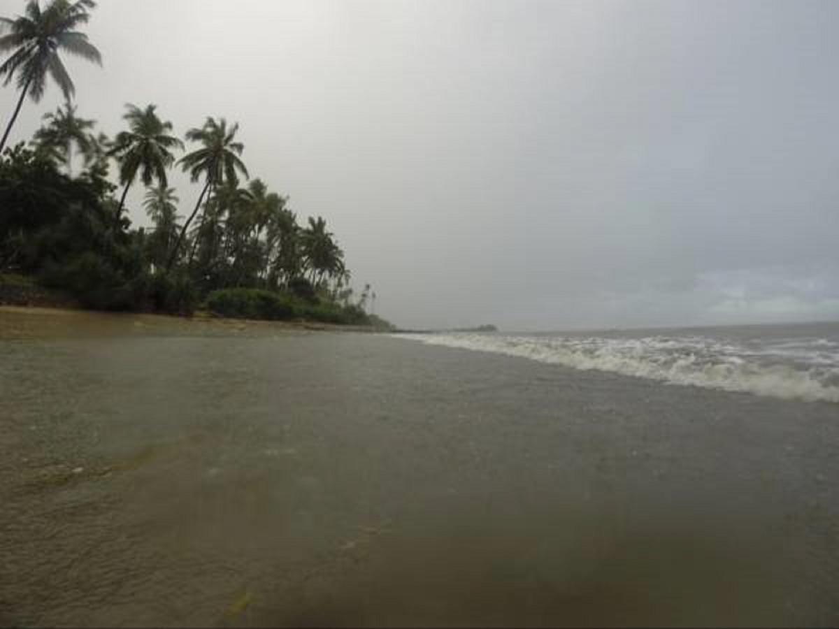 Peponi Beach Resort Pangani Buitenkant foto