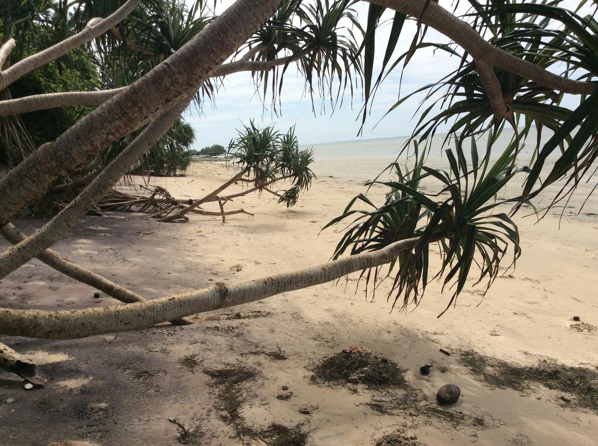 Peponi Beach Resort Pangani Buitenkant foto
