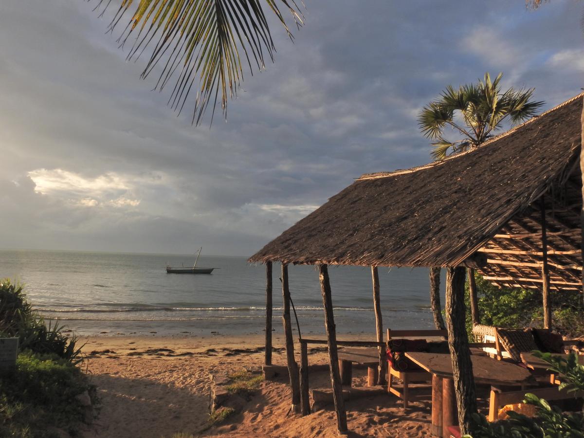 Peponi Beach Resort Pangani Buitenkant foto