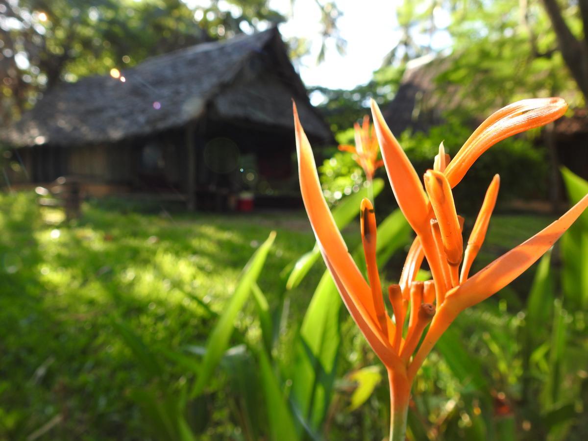 Peponi Beach Resort Pangani Buitenkant foto