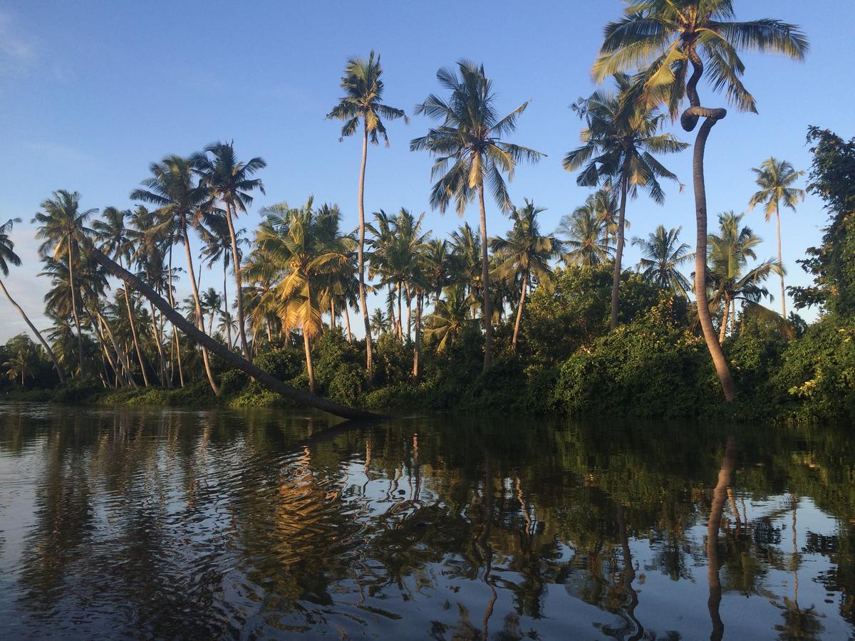 Peponi Beach Resort Pangani Buitenkant foto