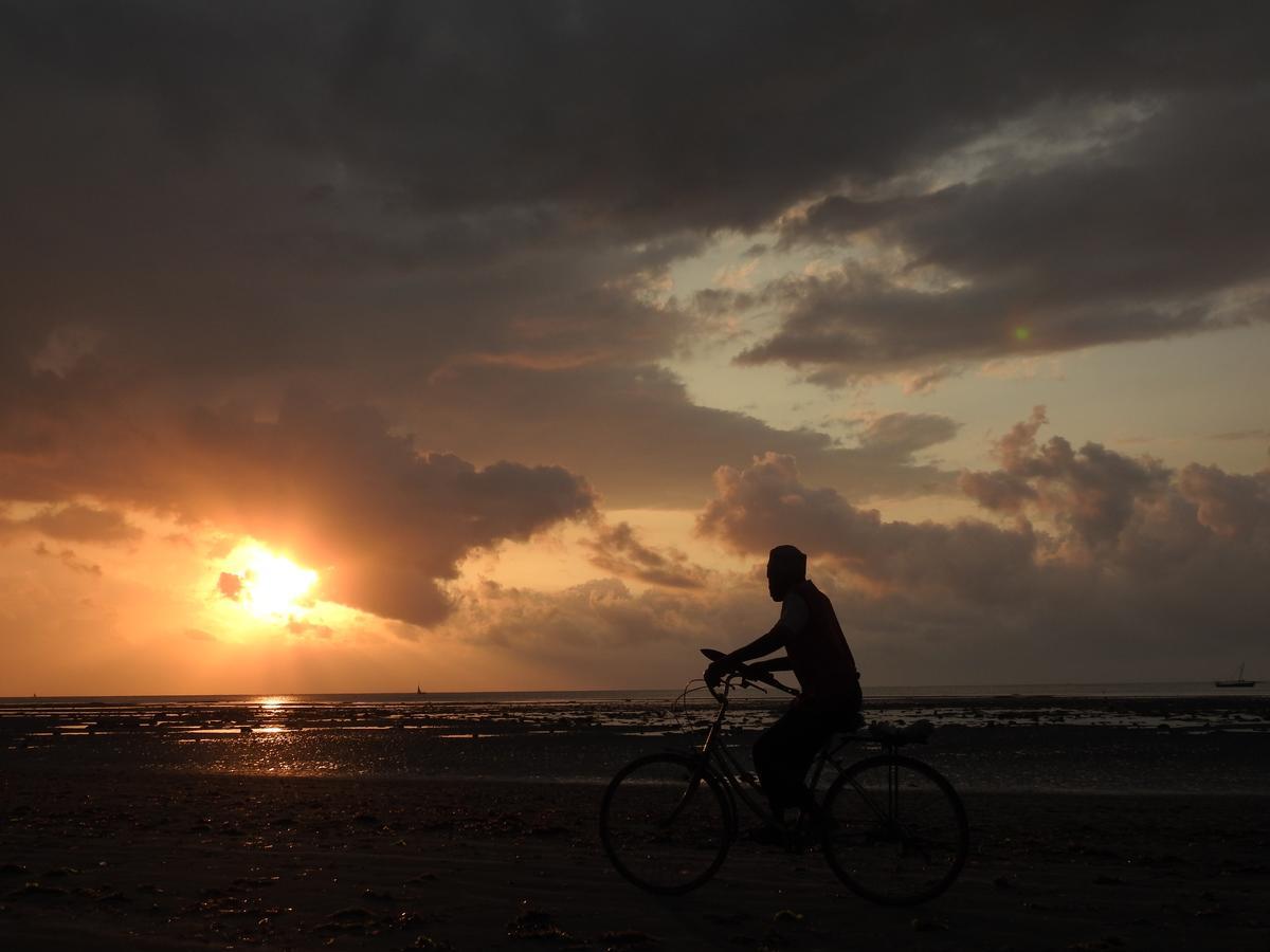 Peponi Beach Resort Pangani Buitenkant foto